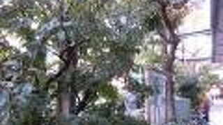 下町らしさも感じる商店街