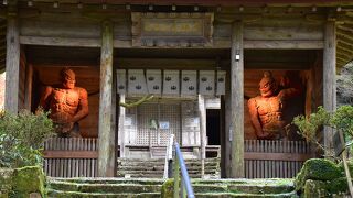 季節限定こんぜちゃんめぐりバスで金勝寺へ