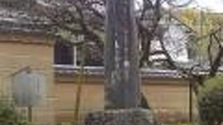 菅原道真公が都を去るときに梅に惜別の情を込めて歌った有名な歌の歌碑です。