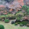 落ち着いた大人の温泉宿