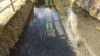 湧水の澄んだ清流が流れる川