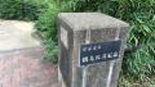 松濤エリアにある公園