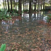 雲山水