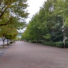 神戸震災復興記念公園