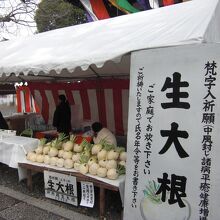 聖護院大根の販売所