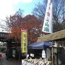 千本釈迦堂は紅葉もまだ綺麗です