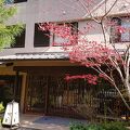 箱根の温泉と紅葉を楽しめる