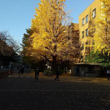 東京大学校内