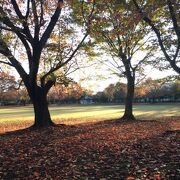 久喜菖蒲公園