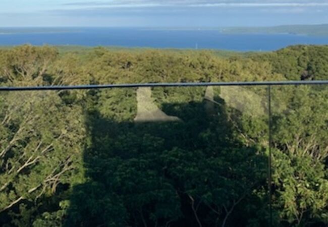 青い海と緑の山々の景色を眺められた