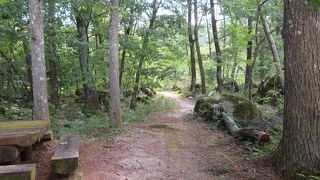 菅の台水と文化の森公園