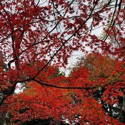 水戸黄門 ゆかりの名園『小石川後楽園』