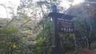 できれば紅葉のシーズンが良いかと