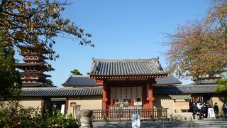 薬師寺;先ずは南門を拝観すると東/西の三重塔が！