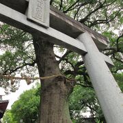 駅チカです