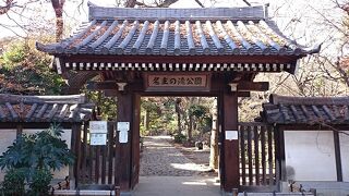 緑と水の多い、素敵な公園