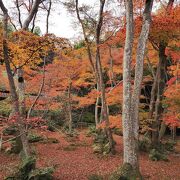 小さな草庵