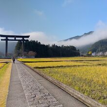 日本最大の鳥居