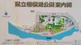 カヌーにも乗れます