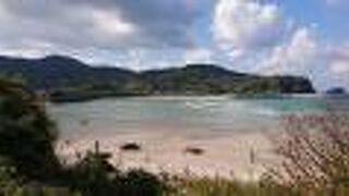 散歩しました。