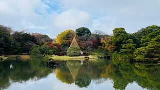 雨上がりの六義園