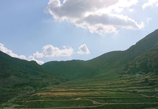 とてもきれいな農村風景です。