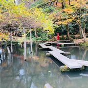 綺麗な池にもみじ映える