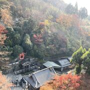 修学旅行生で混雑