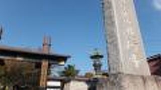 イチョウも紅葉