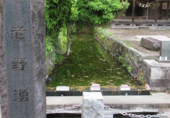 老野湧水の滝