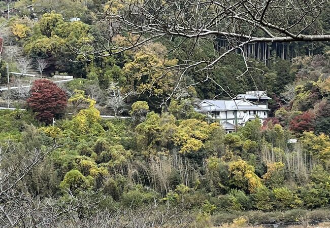 賑わっていました