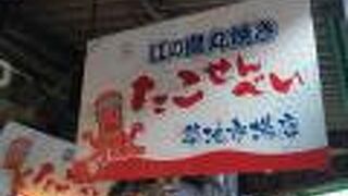 江の島 丸焼きたこせんべい 築地市場