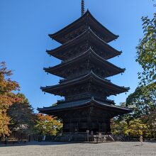 この五重塔は木造建築物としては日本一の仏陀の遺骨の安置建造物