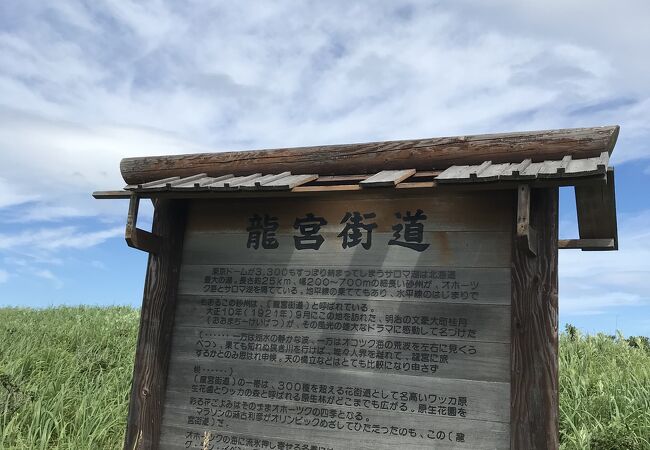 原生花園にあり歩けども歩けども、果てしなく続く道。