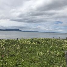 原生花園からのサロマ湖の眺め