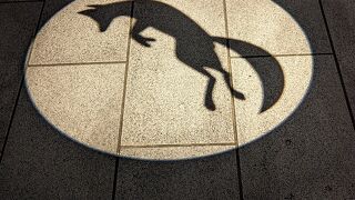 伏見稲荷大社は夜間の閉門がありません。24時間、本堂や千本鳥居へ行くことが可能です。