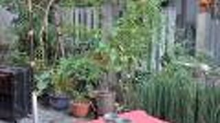 発祥の地でいただく、みたらし団子