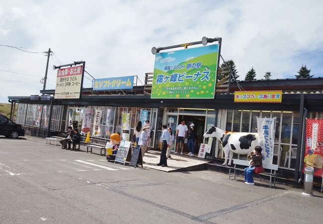 霧ヶ峰ビーナス