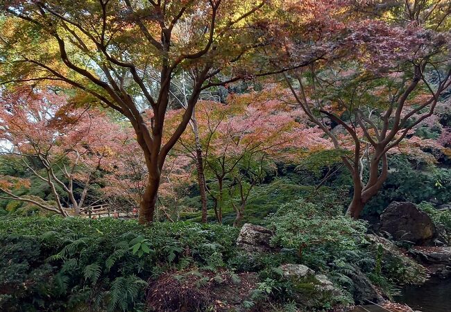 浜松城公園 クチコミ アクセス 営業時間 浜松 フォートラベル