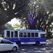 バスが小さく車内が狭く、立っているのも大変