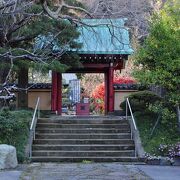 瑞泉寺や海蔵寺と並び称される鎌倉有数の花の寺