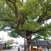 応神天皇を主神とする歴史ある神社