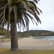 片添ヶ浜海浜公園〈海水浴場 オートキャンプ場〉