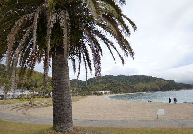 海水浴場やオートキャンプ場のある公園