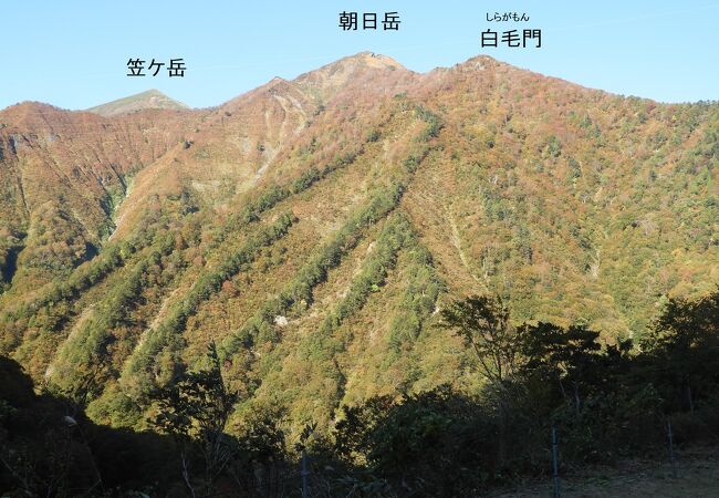 紅葉のすそ野に聳える朝日岳は輝いていました。