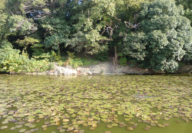 仁徳天皇陵古墳の陪塚のようです