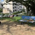 ネコちゃんに会える公園