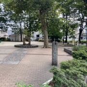 高円寺駅地下の公園