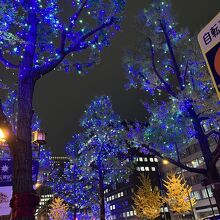 大阪の冬ですね