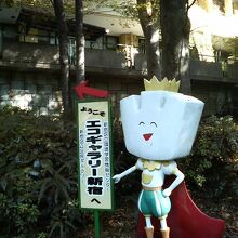 不思議なキャラクター看板が気になって入ってみました